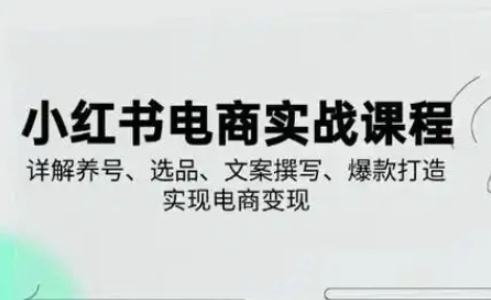 小红书从0-1实操课(2023-2025),详解养号、选品、文案撰写、爆款打造实现电商变现-网创库