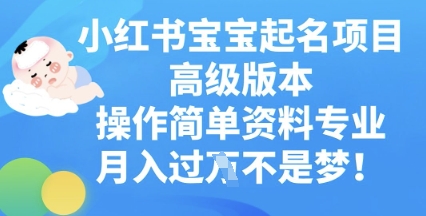 小红书宝宝起名项目高级版本,操作简单,资料专业,月入过W-网创库