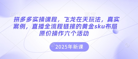 拼多多实操课程，飞龙在天玩法，真实案例，直播全流程链接的黄金sku布局原价操作六个活动-网创库