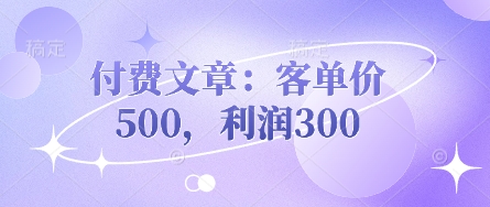 付费文章:客单价500,利润300-网创库