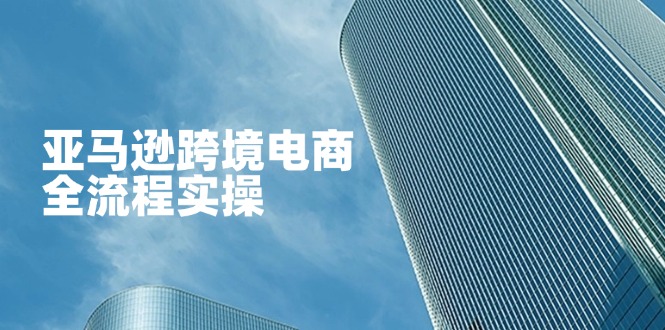 (14252期)亚马逊跨境电商全流程实操,教你从零开始,掌握店铺运营与广告技巧-网创库