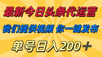 最新今日头条代运营，我们提供视频，你一键发布，单号日入200+【揭秘】-网创库