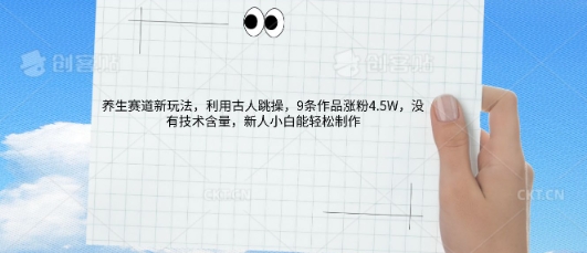 AI养生赛道新玩法，10条作品涨粉5.2W，操作简单，新人小白能轻松制作-网创库