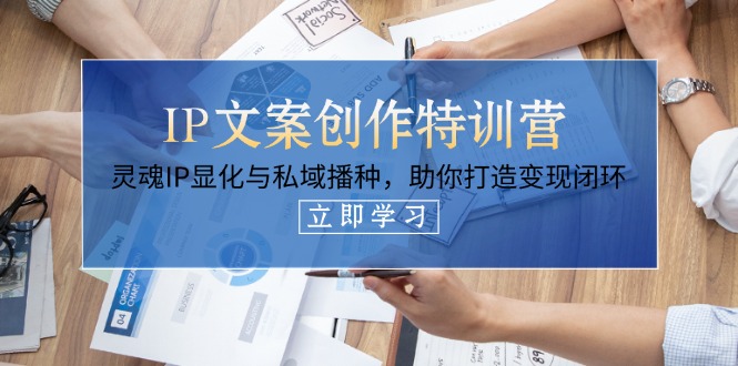 （14330期）IP文案创作特训营，灵魂IP显化与私域播种，助你打造变现闭环（14节课）-网创库