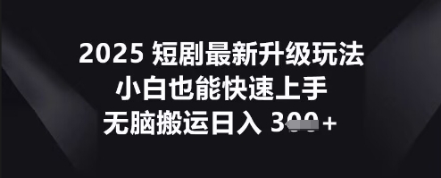 2025短剧最新升级玩法，小白也能快速上手，无脑搬运日入3张-网创库