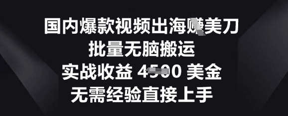 国内爆款视频出海挣美刀,批量无脑搬运,实战收益4.5k,无需经验直接上手-网创库
