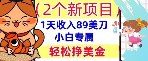 2个新项目,轻松挣美金, 1天收入89美刀,小白专属,干货分享-网创库
