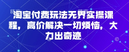 淘宝付费玩法无界实操课程，高价解决一切烦恼，大力出奇迹-网创库