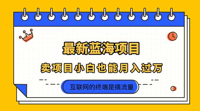 (14289期)2025年最新蓝海项目,卖项目小白也能月入过万-网创库
