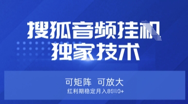 【搜狐音频挂G】独家技术,可矩阵可放大,红利期稳定月入8k【揭秘】-网创库