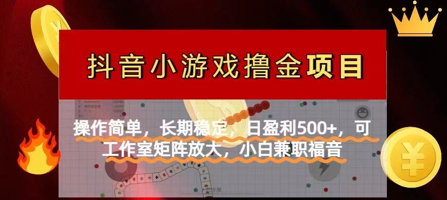 （14290期）【抖音小游戏发行人计划项目】操作简单，长期稳定，日盈利500+，可工作...-网创库