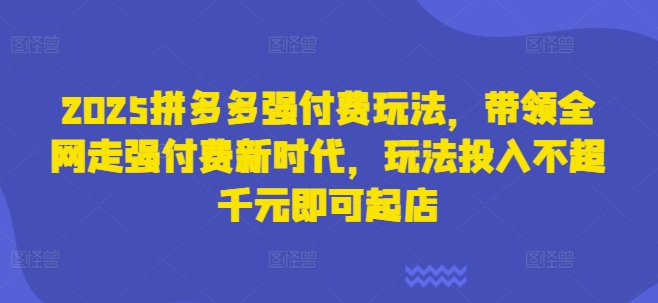 2025拼多多强付费玩法,带领全网走强付费新时代,玩法投入不超千元即可起店-网创库