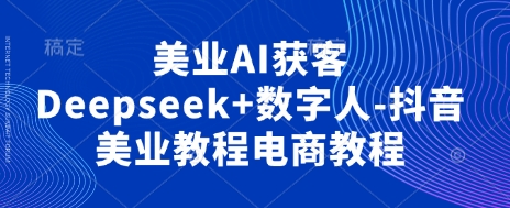 美业AI获客Deepseek+数字人-抖音美业教程电商教程-网创库