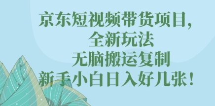 京东短视频带货项目,全新玩法,无脑搬运复制,新手小白日入好几张!-网创库