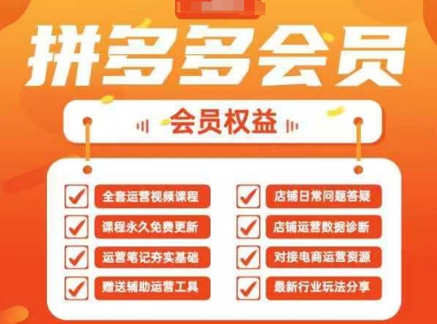 2025拼多多运营实战课,40节全流程教学,覆盖拼多多运营全链路-网创库