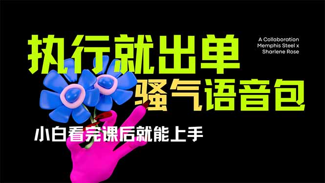 （14170期）爆火全网的开车导航骚气语音包,只要执行就出单，小白看完课程就能实操...-网创库