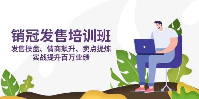 (14203期)销冠 发售培训班:发售 操盘+情商 飙升+卖点 提炼,实战提升百万业绩-网创库