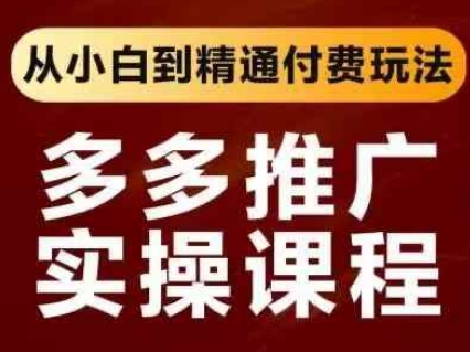 拼多多推广实操课程，从小白到精通付费玩法-网创库