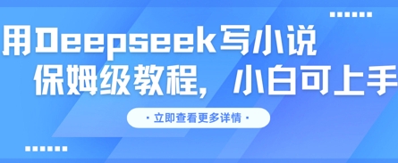 用Deepseek写小说,保姆级教程,小白可实操-网创库