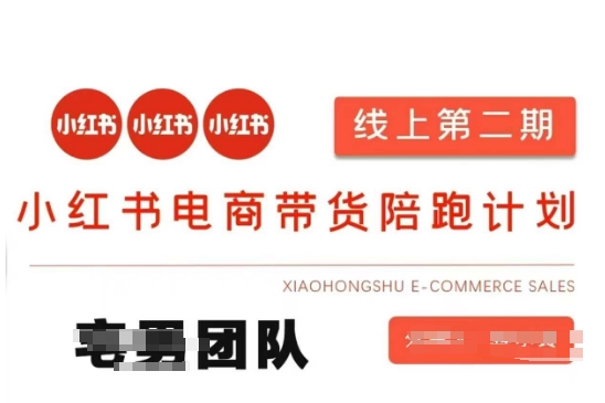小红书电商带货课2期，月利润20个的小红书电商的有货源，无货源，虚拟产品，付费投流等整套玩法-网创库