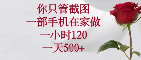 你只管截图，一部手机在家操作，一小时120.一天5张【揭秘】-网创库